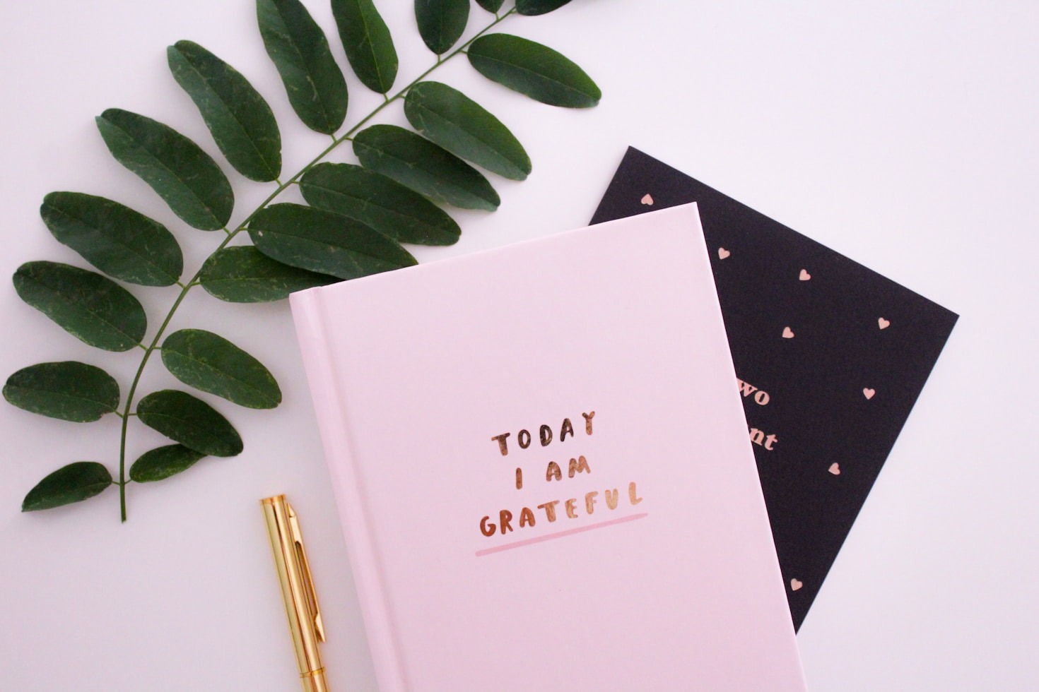 Exploring My Favorite Books and Ideas